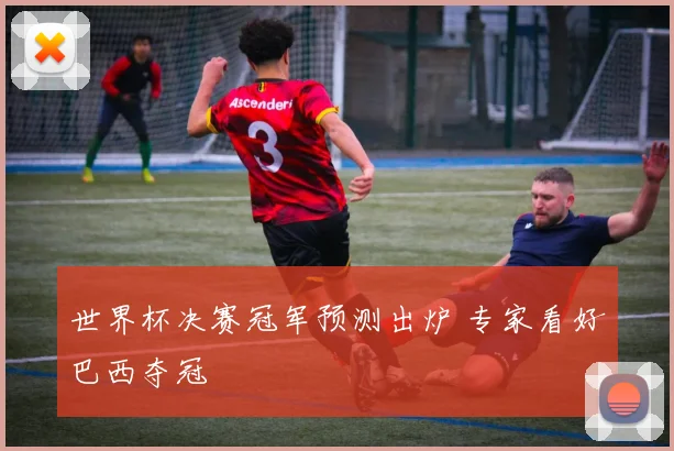 世界杯决赛冠军预测出炉 专家看好巴西夺冠