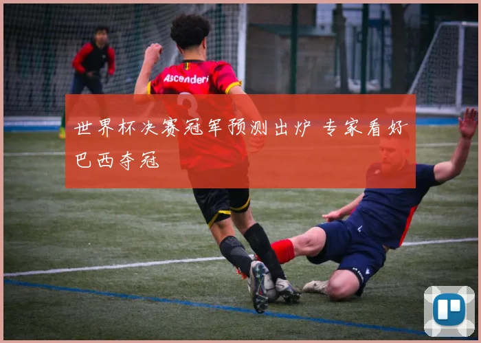 世界杯决赛冠军预测出炉 专家看好巴西夺冠