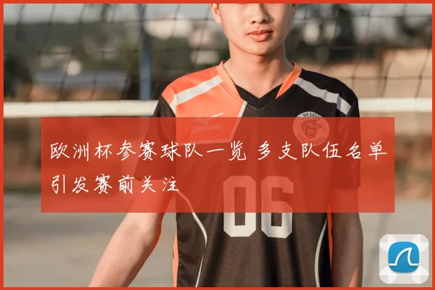 欧洲杯参赛球队一览 多支队伍名单引发赛前关注