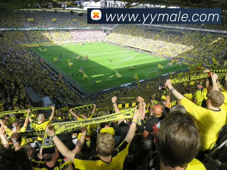 emc体育唯一官网 - 官方登入平台生态图