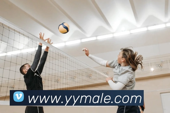 emc体育唯一官网 - 官方登入APP 封面图